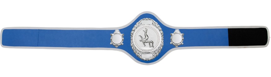 WRESTLING BELT-PRO286/S/WRESTS-10+ COLOURS
